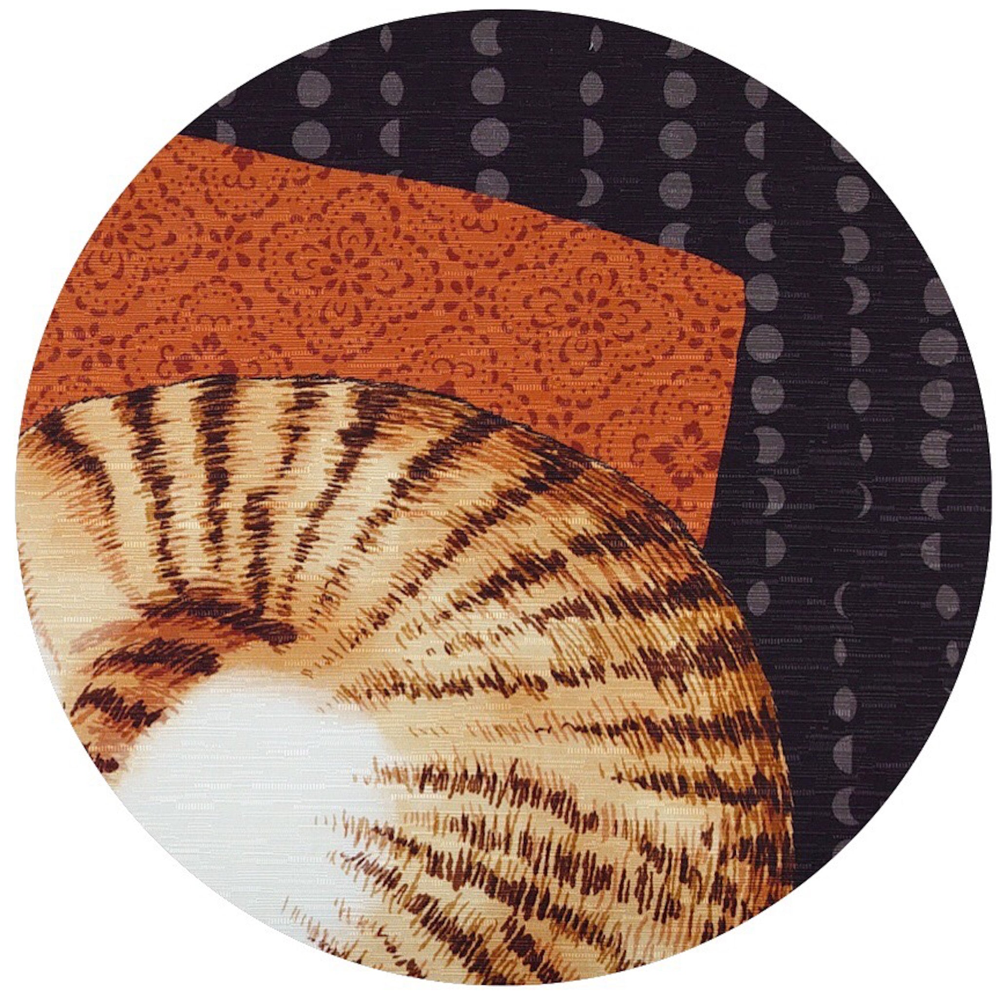 WA・KKAの猫の日準備中☆
